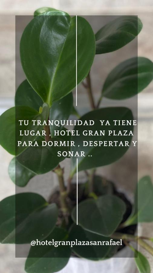 Hotel Gran Plaza San Rafael San Rafael  Dış mekan fotoğraf